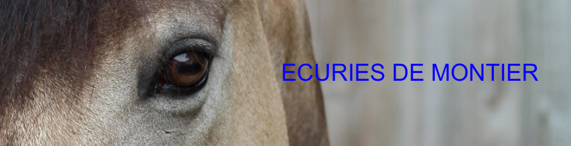 ECURIES DE MONTIER